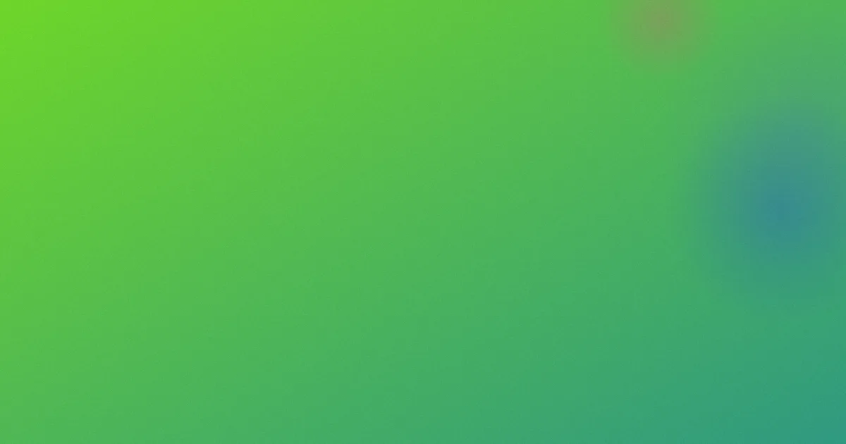 宝拉x攻略：横向看懂